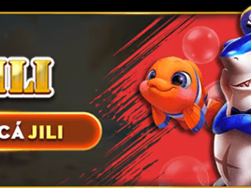 Bắt đầu quá trình cài đặt